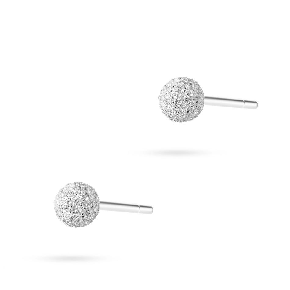 Silver Stud Earrings