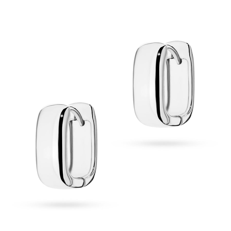 Stříbrný náušnice