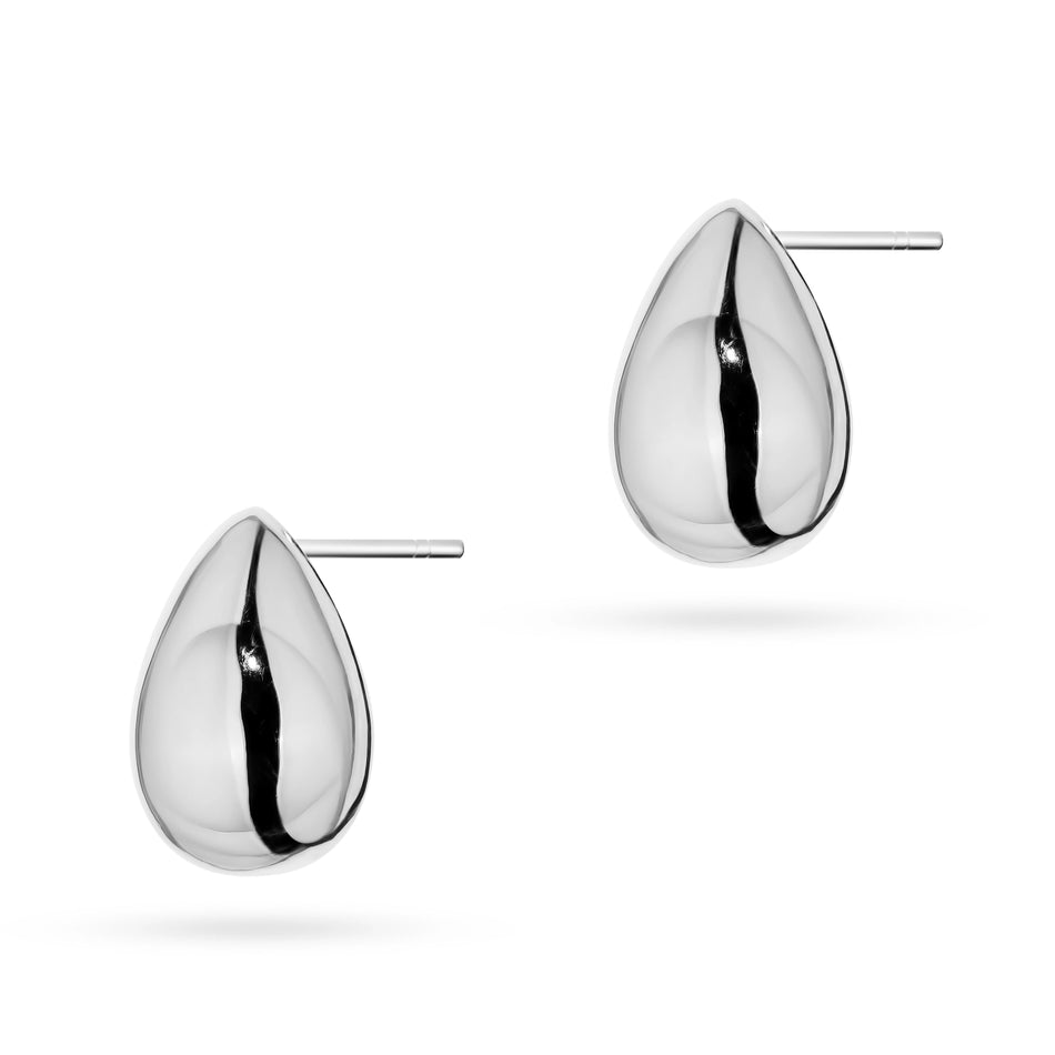 Silver Stud Earrings