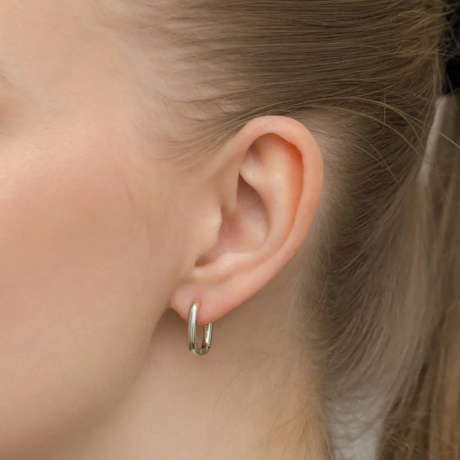 Stříbrný náušnice